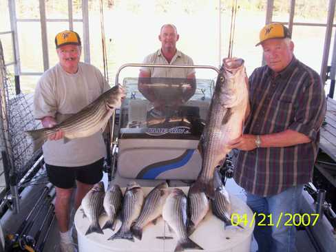 Nice Striped Bass