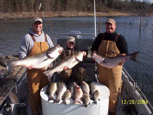 Nice Striped Bass