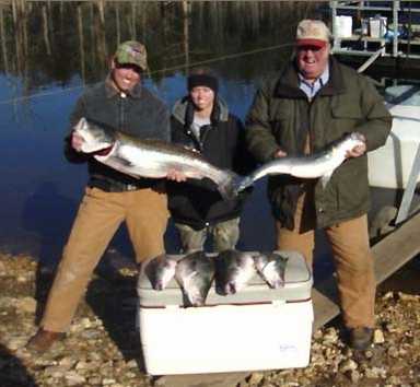 Nice mess of Stripers