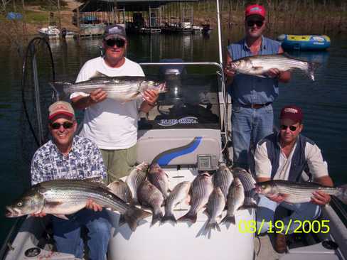 Nice Striped Bass