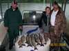 (06/01/2008) - Nice Striped Bass
