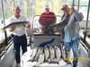 (09/20/2008) - Nice Striped Bass