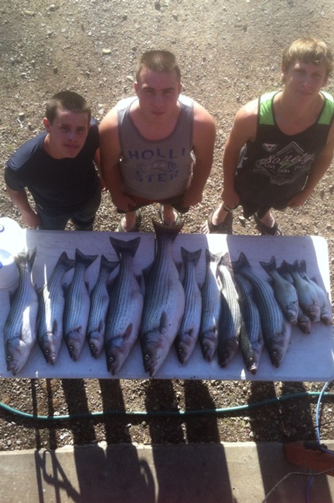 Nice Striped Bass