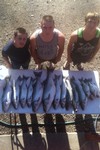 (05/03/2014) - Nice Striped Bass