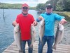 (05/15/2024) - Nice Striped Bass