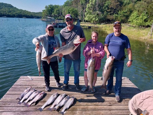 Nice Striped Bass