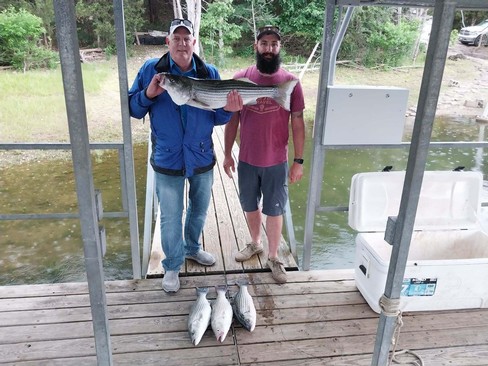 Nice Striped Bass