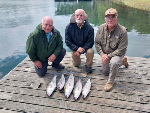 Nice Striped Bass