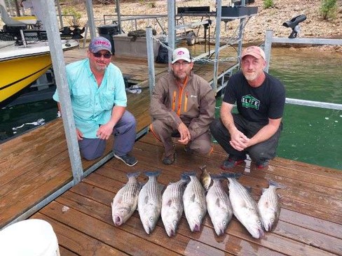 Nice Striped Bass