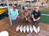 (06/10/2023) - Nice Striped Bass