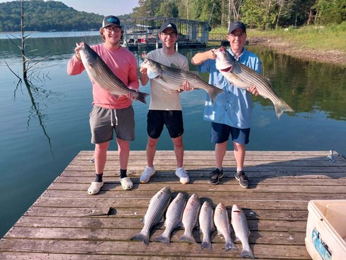 Nice Striped Bass