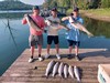 (06/16/2024) - Nice Striped Bass