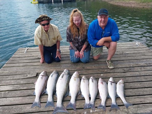 Nice Striped Bass