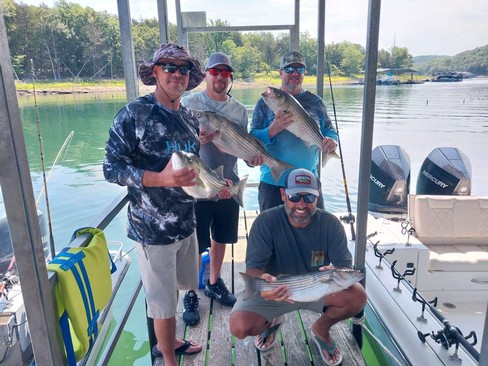 Nice Striped Bass