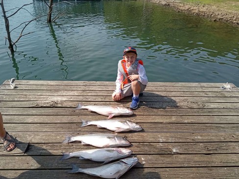 Nice Striped Bass