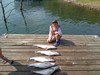 (07/18/2024) - Nice Striped Bass