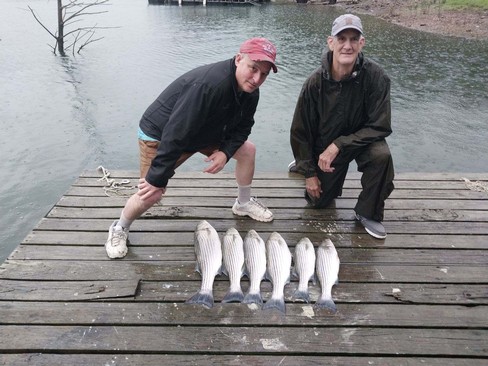 Nice Striped Bass