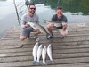 (06/28/2024) - Nice Striped Bass