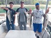 (08/01/2024) - Nice Striped Bass
