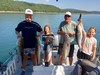 (08/04/2024) - Nice Striped Bass
