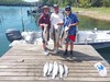 (07/05/2024) - Nice Striped Bass