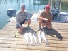 (08/16/2024) - Nice Striped Bass