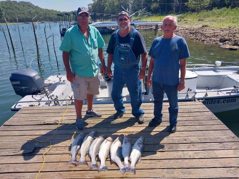 Nice Striped Bass