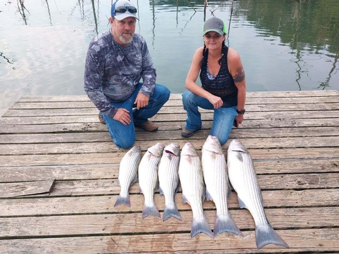 Nice Striped Bass