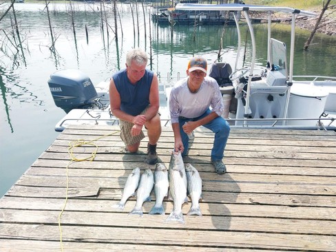 Nice Striped Bass