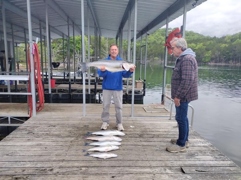 Nice Striped Bass