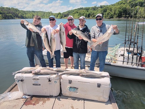 Nice Striped Bass