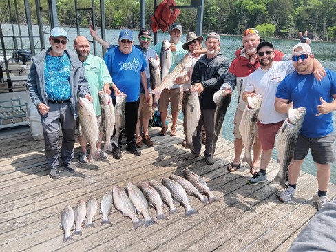 Nice Striped Bass