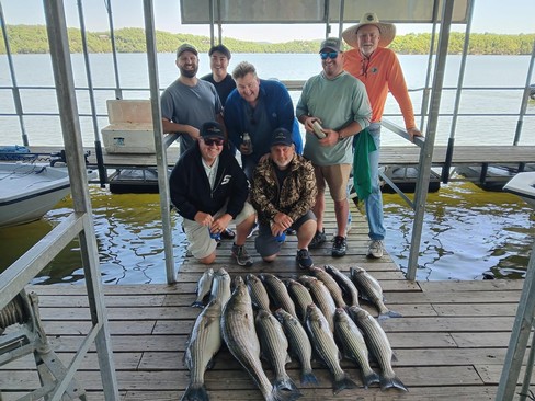 Nice Striped Bass
