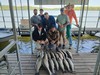 (05/21/2025) - Nice Striped Bass