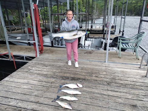 Nice Striped Bass