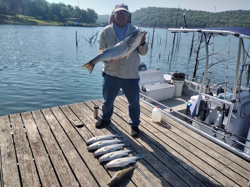Nice Striped Bass
