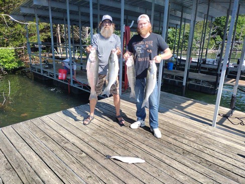 Nice Striped Bass