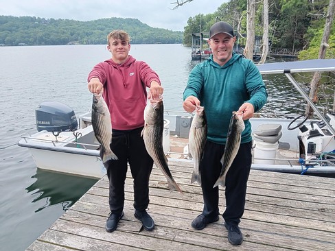 Nice Striped Bass
