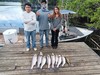 (06/16/2025) - Nice Striped Bass