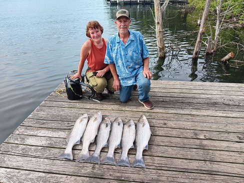 Nice Striped Bass