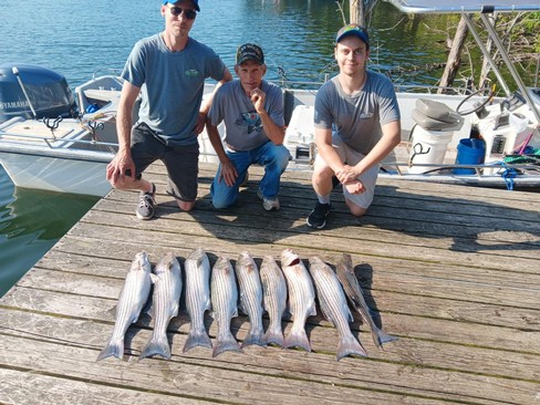 Nice Striped Bass
