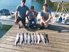 (06/21/2025) - Nice Striped Bass