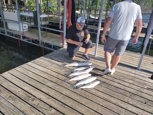 Nice Striped Bass