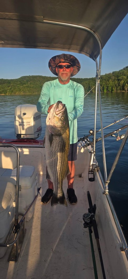 Nice Striped Bass