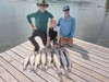 (06/27/2025) - Nice Striped Bass