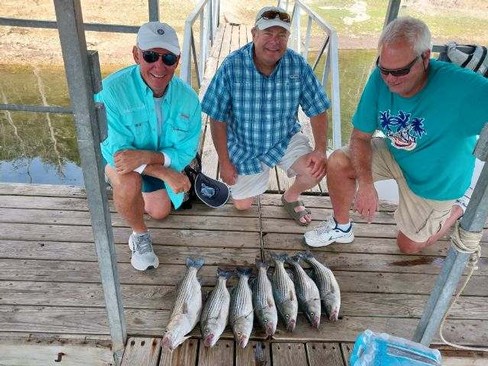 Nice Striped Bass
