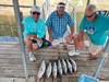(06/24/2023) - Nice Striped Bass