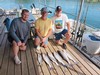 (07/02/2025) - Nice Striped Bass