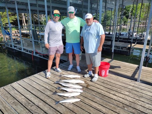 Nice Striped Bass