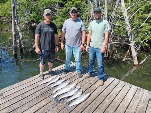 Nice Striped Bass